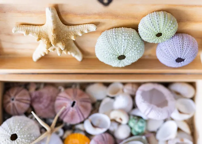 Horizonte Azul * פונטה דל הידלגו